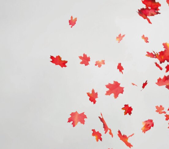 © Congress Messe Innsbruck © Congress Messe Innsbruck